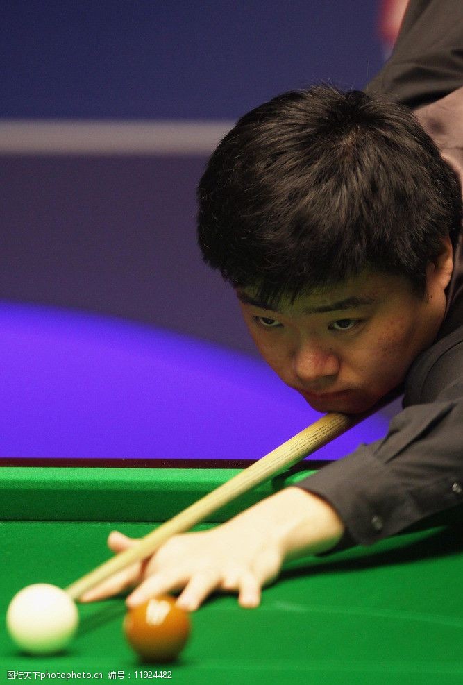 多样性和比 多样性和比